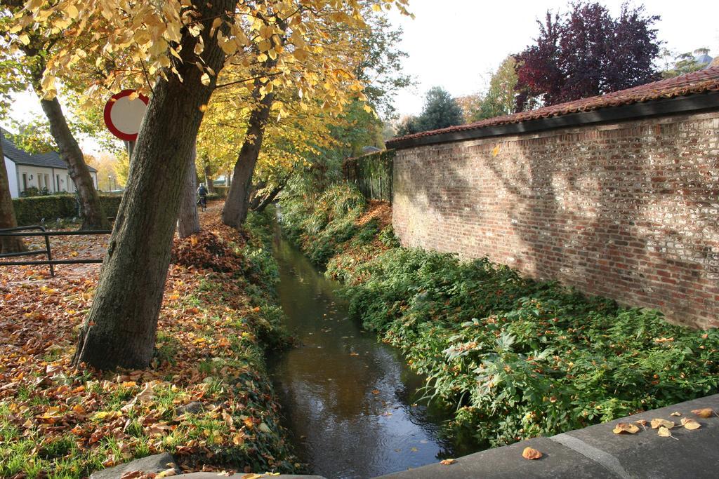 Thorn B&B Zewnętrze zdjęcie